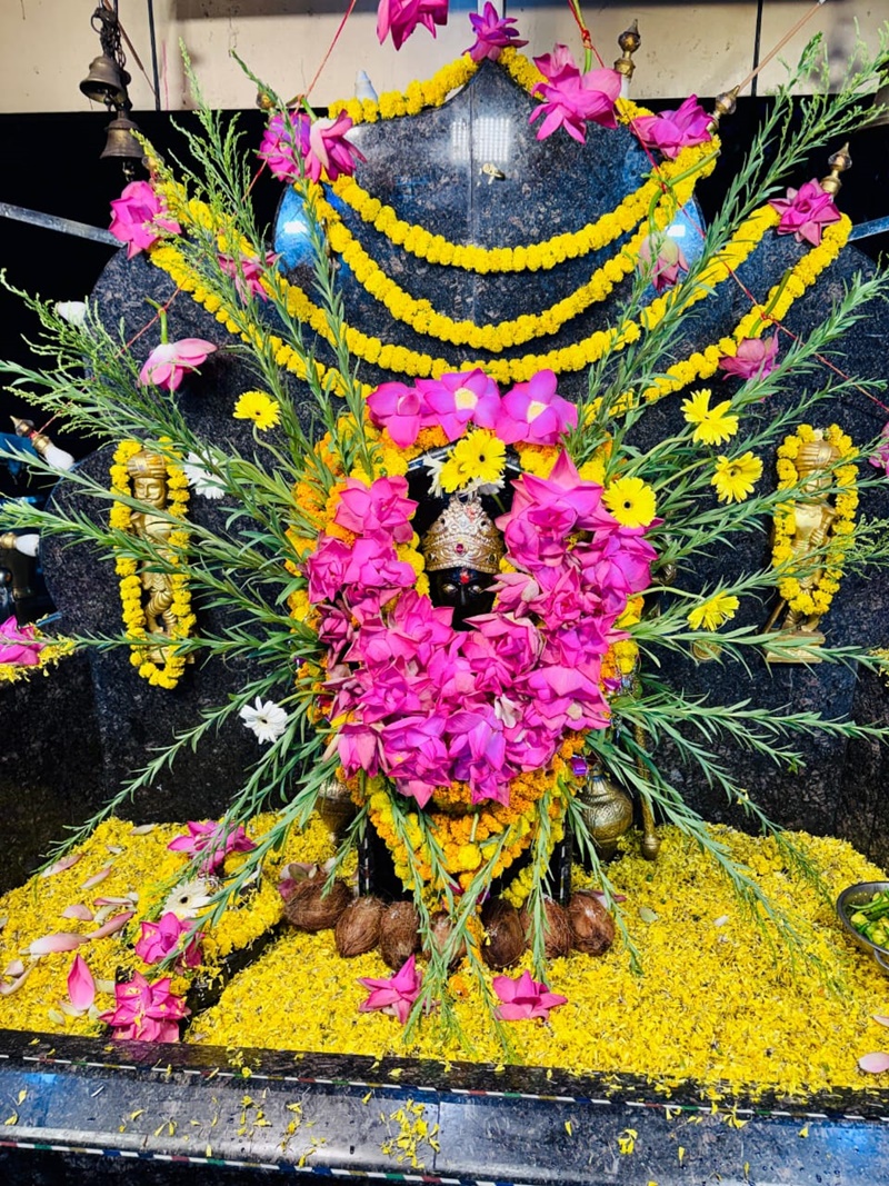 naidunia_image